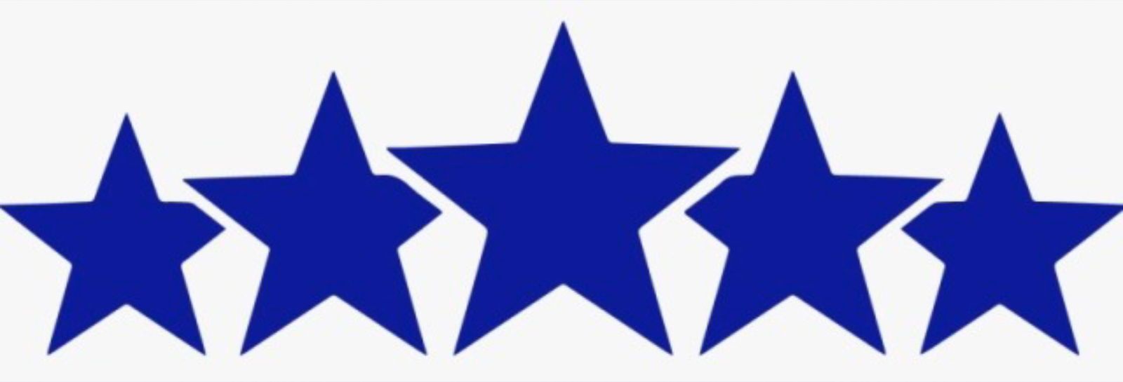 palmtreepuppy banner