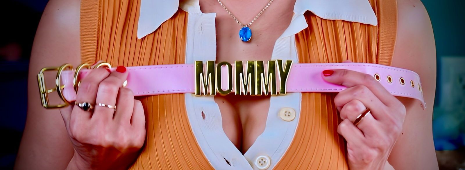 pamperedpenny banner