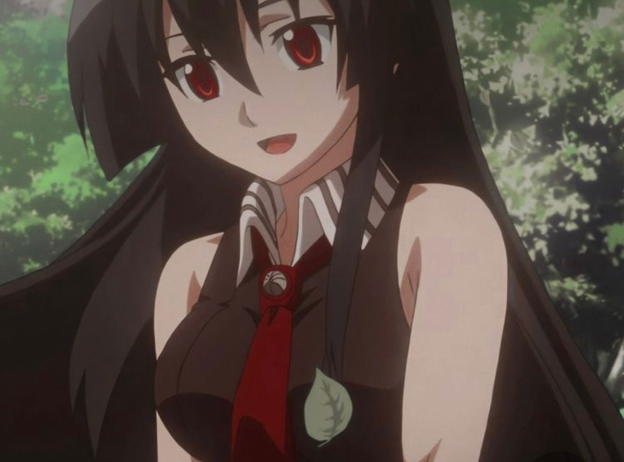 petitelatina7 banner