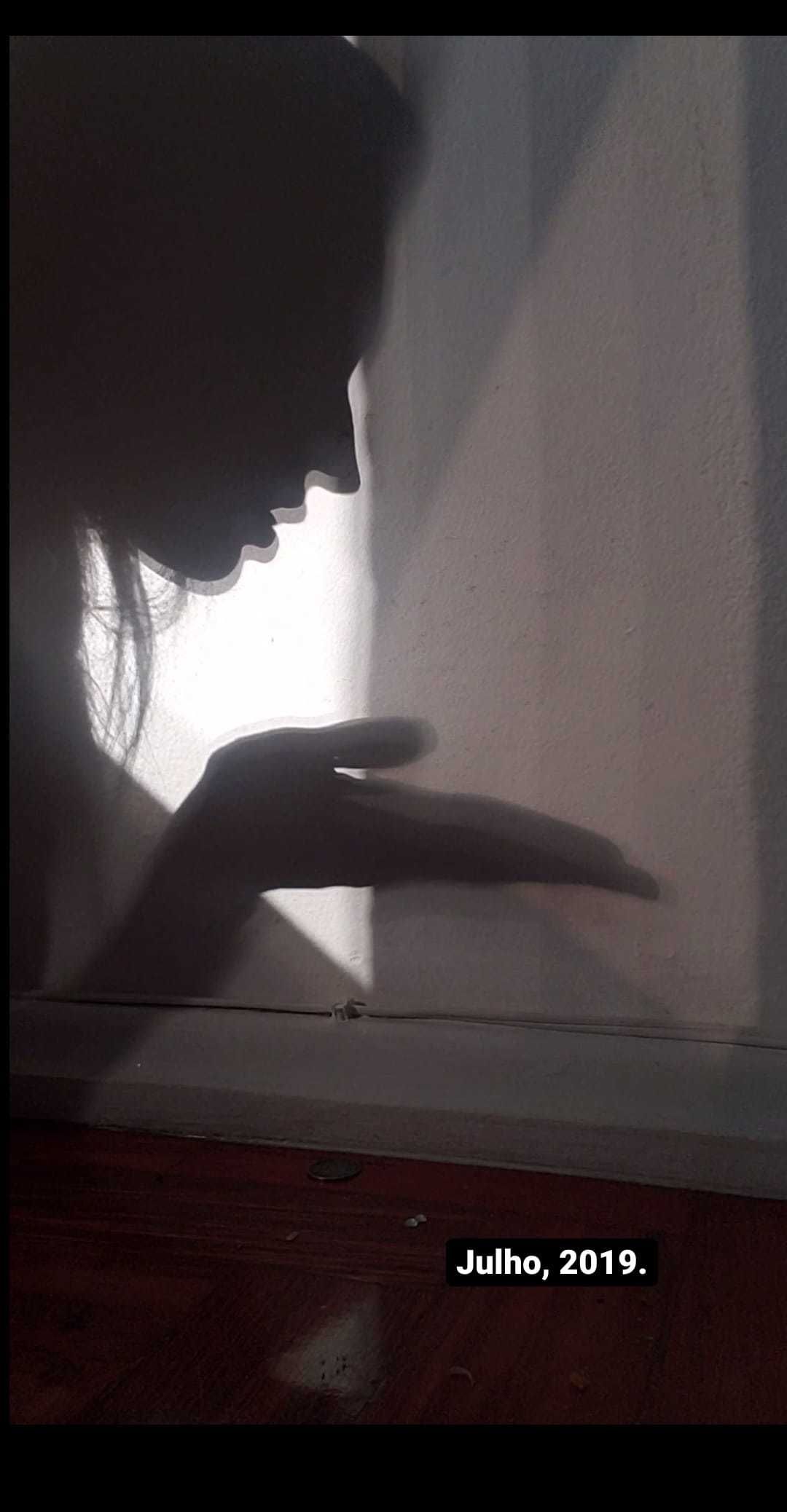 pietraprincipe banner