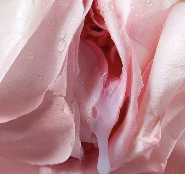 psilocybinxbaby banner