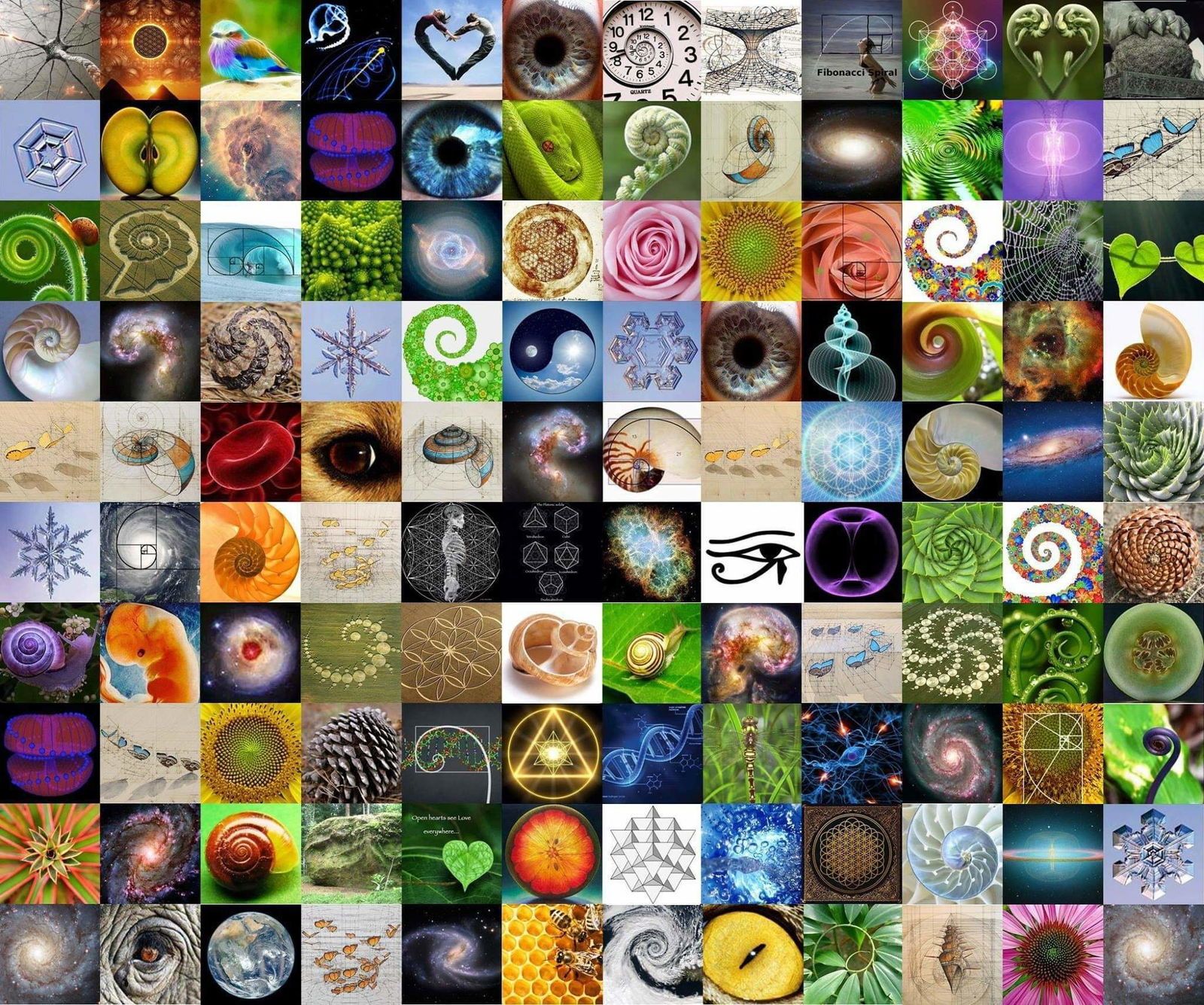 samiparkerxxx banner