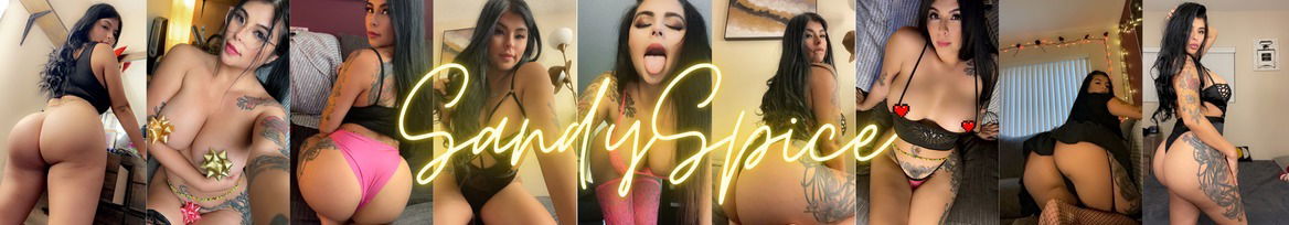sandyspice banner