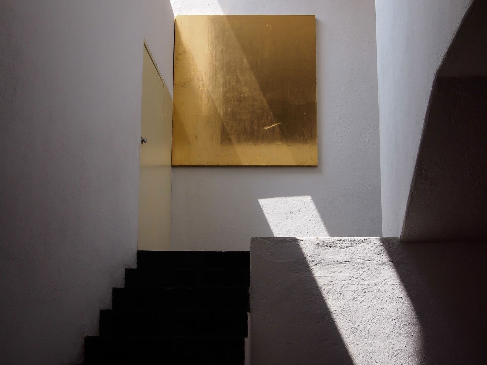 savagepapillon banner