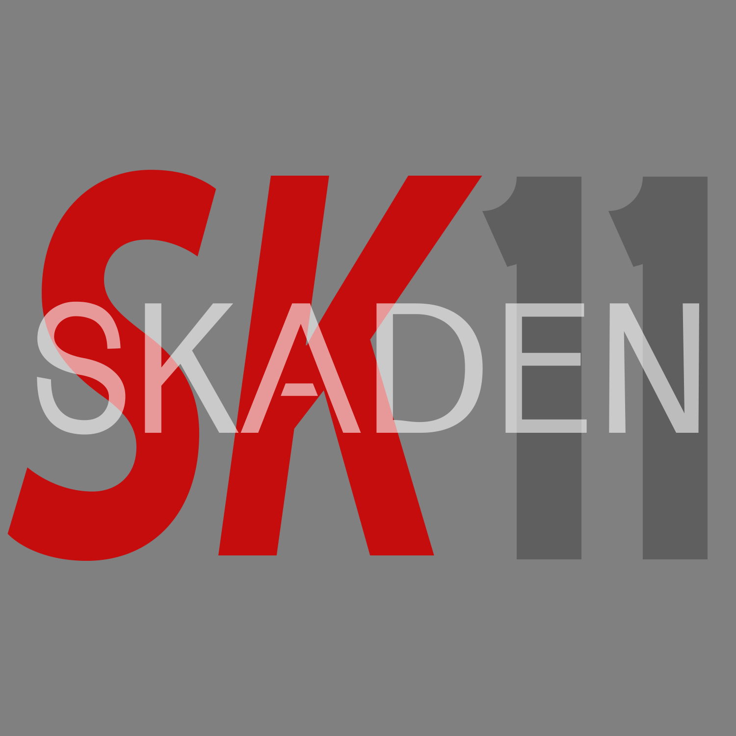 skaden11 banner