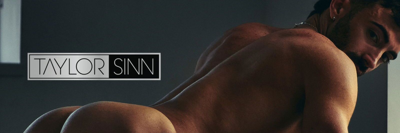 taylor_sinn banner