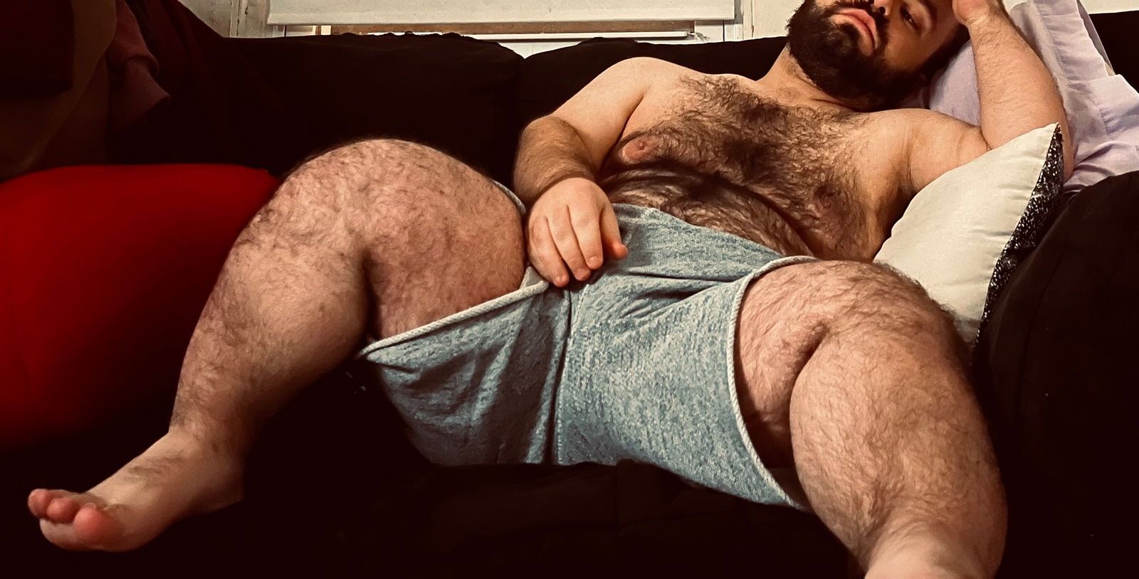 thefurrydwarf banner