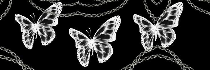 thenikkinorthh banner