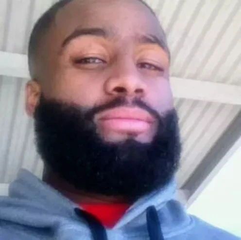 thesharksnest banner