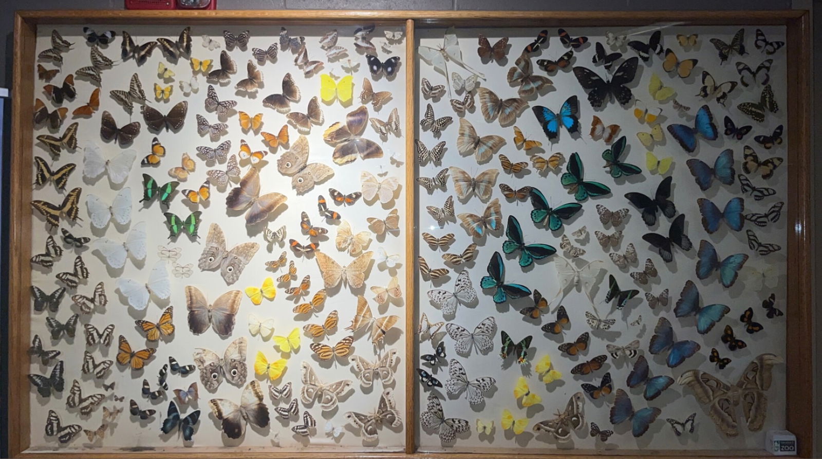 thickpeachcaramel banner