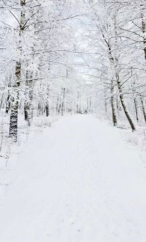 wynterlovebbw banner