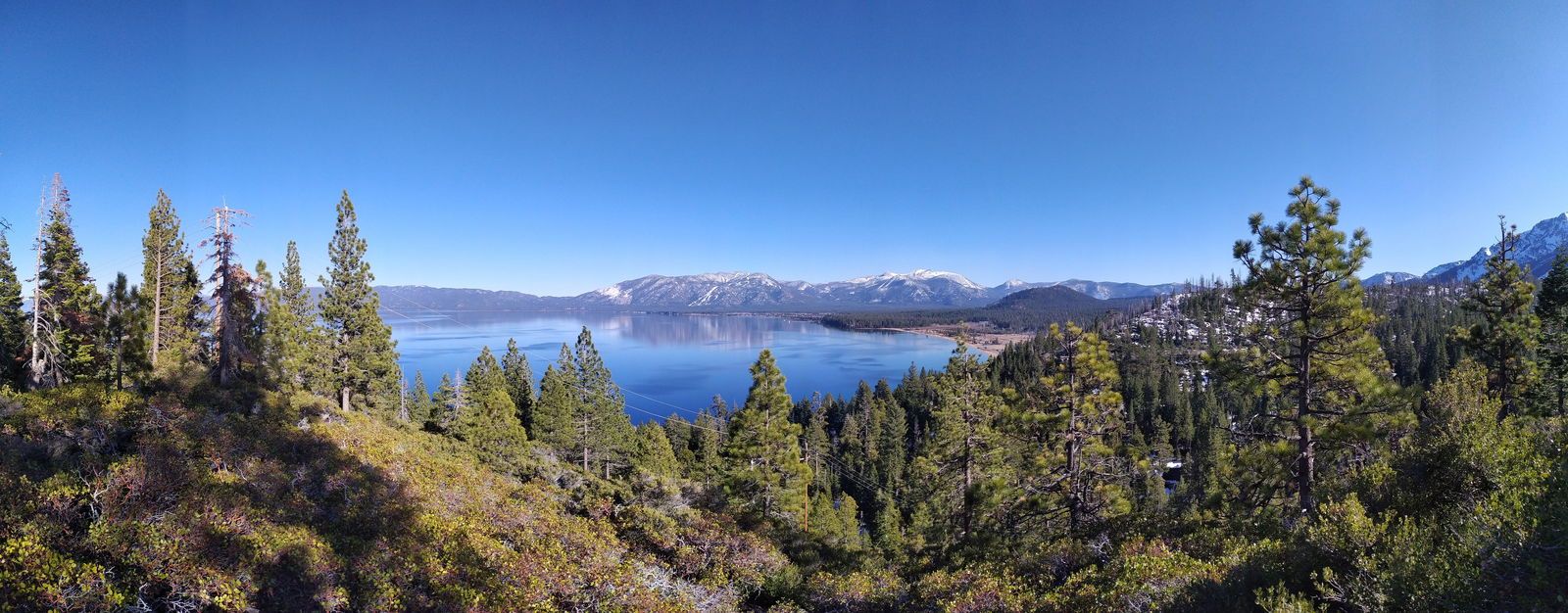 zeusray22free banner